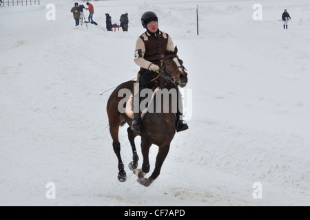 Courses hippiques Banque D'Images