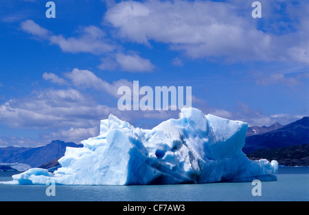 Les icebergs près de glacier Upsala. Lago Argentino. Le Parc National Los Glaciares. Province de Santa Cruz. La Patagonie. L'Argentine. Banque D'Images