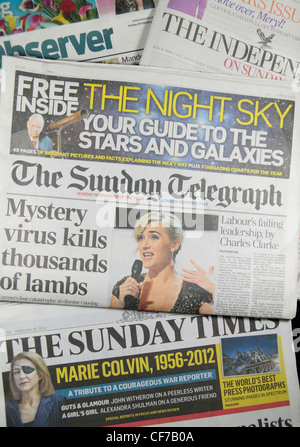 Le Sunday Telegraph assis sur la qualité d'autres journaux nationaux du Royaume-Uni (The Sunday Times, l'observateur, l'indépendant). Banque D'Images