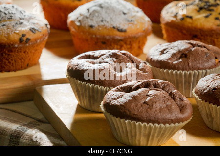 Muffins au chocolat et vanille sur planche de bois Banque D'Images