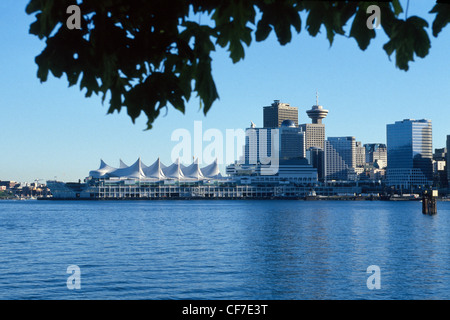 Vue du parc Stanley dans le port de Vancouver au centre-ville et la voile croisière parées de pier en Colombie-Britannique, Canada. Banque D'Images