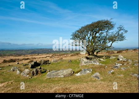 Le Wigford Hut Cercle et paysage Dartmoor Banque D'Images