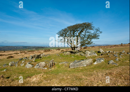 Le Wigford Hut Cercle et paysage Dartmoor Banque D'Images