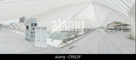 Mezzanine de la gare de Liège Guillemins conçue par Santiago Calatrava Banque D'Images