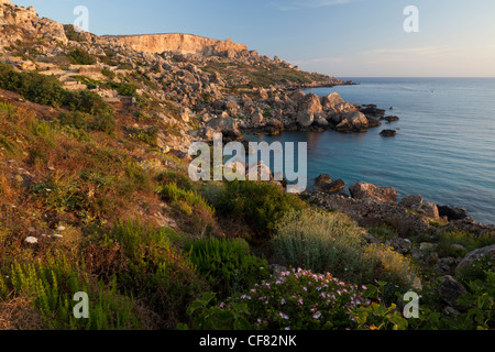 Panorama de l'élevage et des plages de rochers robuste des promontoires sur la côte nord de Gozo à l'ouest de Dahlet Qorrot. Banque D'Images