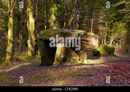 Filiast Gwal y sépulture néolithique, Carmarthenshire, West Wales, UK Banque D'Images