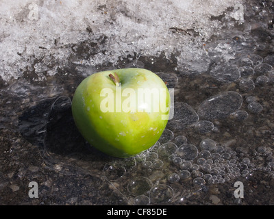 Green Apple frozen in puddle Banque D'Images