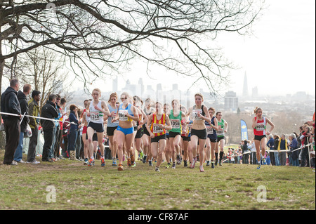 Nationale féminine junior de cross-country de la colline du Parlement le samedi 25 février 2012 Londres Banque D'Images