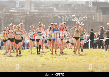 Nationale féminine junior de cross-country de la colline du Parlement le samedi 25 février 2012 Londres Banque D'Images