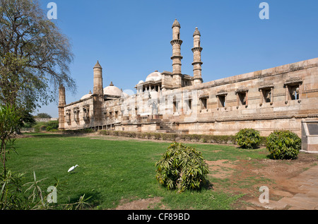 La mosquée Jama Masjid. Pavagadh Champaner parc archéologique. Le Gujarat. L'Inde Banque D'Images