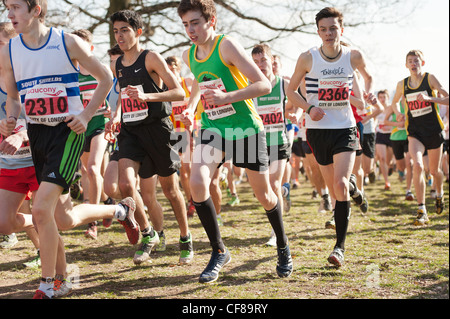 Les hommes de moins de 17 Cross-country National La Colline du Parlement le samedi 25 février 2012 Londres Banque D'Images