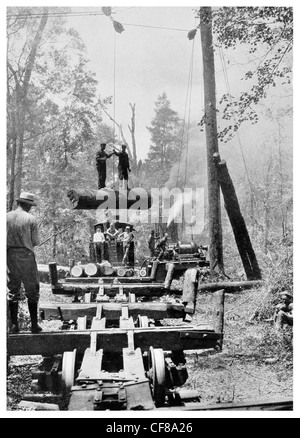 Camp de bûcherons en Tandem 1926 gum tree log resineux Wilmington Banque D'Images