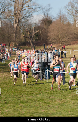 Les hommes de moins de 17 Cross-country National La Colline du Parlement le samedi 25 février 2012 Londres Banque D'Images