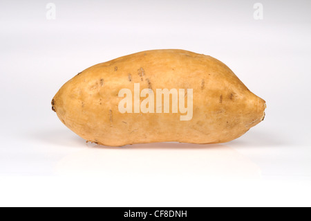 Un yam aussi connu sous le nom de patate douce avec la peau sur fond blanc, cut out Banque D'Images