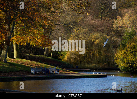 Lister Park lac de plaisance en automne, Manningham, Bradford. Bradford. Banque D'Images