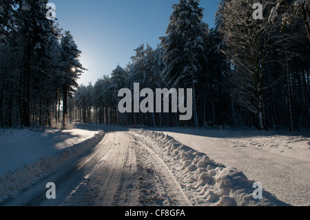 Route à travers la forêt de Sherwood dans la neige en hiver Banque D'Images