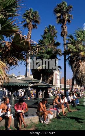 Venice Beach, la plus grande, en Californie, USA, United States, l'Amérique, les gens, assis, sun, LA, scène, lifestyle, palmiers, plage Banque D'Images