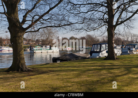 Bateaux amarrés sur la Tamise près de Teddington Lock au début du printemps. Banque D'Images