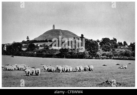 Glastonbury Tor Hill St Michael's Tower Service monument ancien troupeau de moutons ferme Terres agricoles du sud-ouest de l'Angleterre l'Europe Somerset Banque D'Images