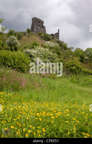 Les ruines de Dryslwyn Château sont situés sur une colline à peu près à mi-chemin entre Llandeilo et Carmarthen. Banque D'Images