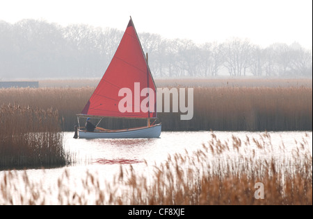 Hickling broad, Norfolk Broads, Angleterre Banque D'Images