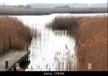 Hickling broad, Norfolk Broads, Angleterre Banque D'Images