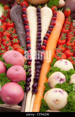 Voir les légumes à l'automne 2011 de Malvern trugg Banque D'Images
