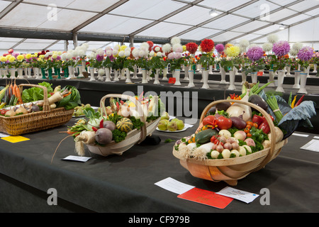 Légumes primés au Malvern Automne 2011 de trois comtés Show Ground Banque D'Images