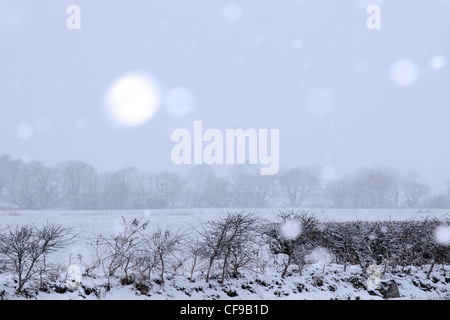 Un pays couvert de neige scène dans ballybunion Irlande avec la neige qui tombe Banque D'Images