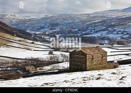 Swaledale supérieure en hiver, dans le Yorkshire Dales National Park Banque D'Images
