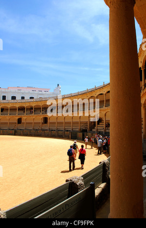 L'Espagne plus grandes arènes construites en 1785, Ronda, Province de Malaga, Andalousie, Espagne, Europe de l'Ouest. Banque D'Images