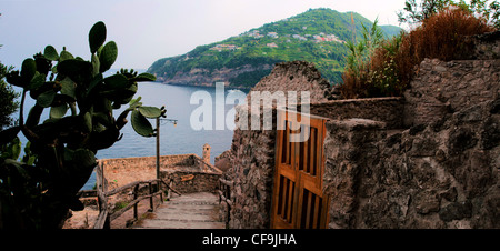 Vue panoramique du château aragonais, l'île de Ischia Banque D'Images