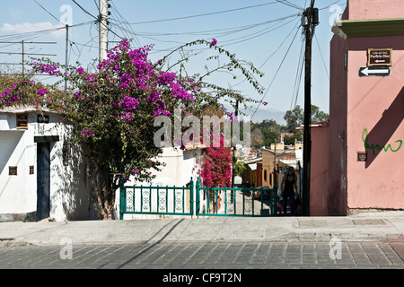 Entrée fermée pour la charmante rue piétonne avec accès à des maisons à flanc de colline au-dessus de l'aqueduc de los Arcos Oaxaca Mexique Banque D'Images