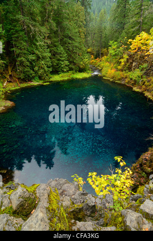 Tamolitch, une piscine extérieure et alimenté par la rivière McKenzie dans l'Oregon est des Cascades. Banque D'Images