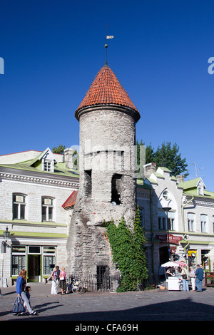 L'Estonie, Tallinn, Tallinn, ville, Vieille Ville, tour, murs, Viru, Gate, patrimoine mondial, Banque D'Images