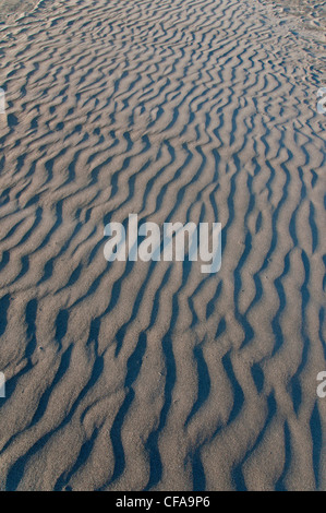 Sable, dunes, Playa Hermosa, plage, Ensenada, Baja California, Mexique, de rides Banque D'Images