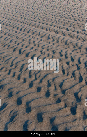 Sable, dunes, Playa Hermosa, plage, Ensenada, Baja California, Mexique, de rides Banque D'Images