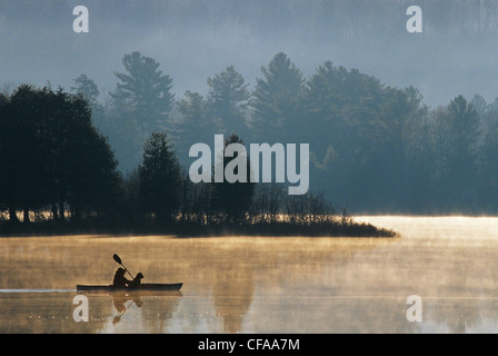 Jeune femme avec chien kayak de mer en début de matinée, Oxtongue Lake, Muskoka, Ontario, Canada. Banque D'Images