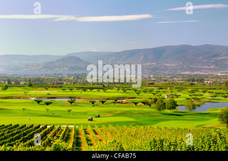 Vignoble et Harvest Golf Course in kelowna, British Columbia, Canada. Banque D'Images