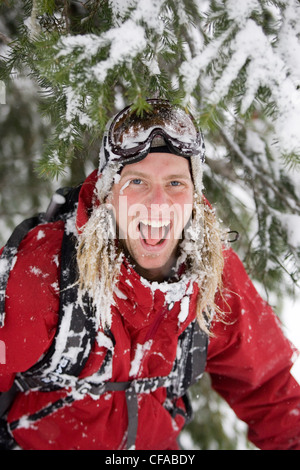 Dans l'arrière-pays près de Fernie Alpine Resort, Fernie, British Columbia, Canada. Banque D'Images