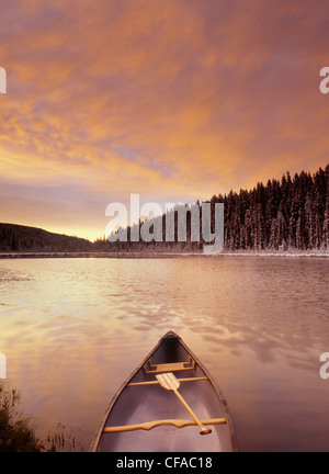 Canoë sur le lac marécageux au coucher du soleil, de l'Alberta, Canada. Banque D'Images