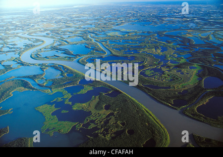 Les 50 kilomètres de large delta du Mackenzie à l'embouchure du fleuve Mackenzie, près d'Inuvik, Territoires du Nord-Ouest, Canada. Banque D'Images