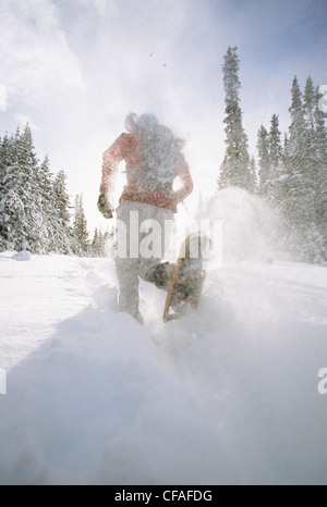 Une femme en raquettes par Spray Lakes, au parc provincial Peter Lougheed, près de Canmore, Rocheuses canadiennes, l'Alberta, Canada. Banque D'Images