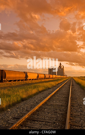 Terminal de grain avec wagons-trémies au premier plan, près d'Estevan, Saskatchewan, Canada Banque D'Images