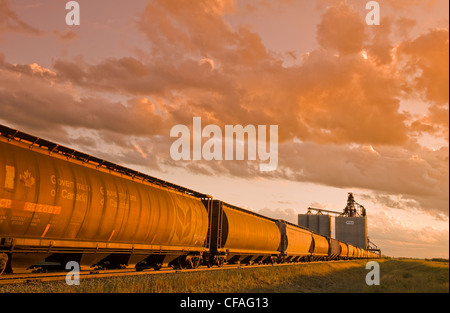 Terminal de grain avec wagons-trémies au premier plan, près d'Estevan, Saskatchewan, Canada Banque D'Images