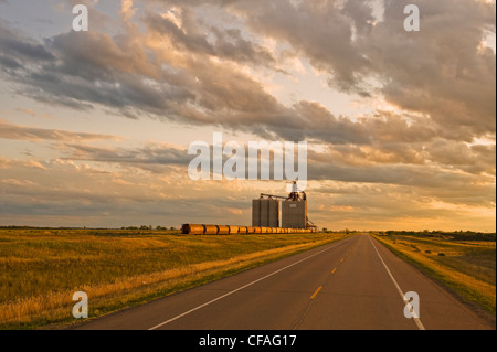 Route à travers les prairies et l'intérieur des terres à grain en arrière-plan, près d'Estevan, Saskatchewan, Canada Banque D'Images