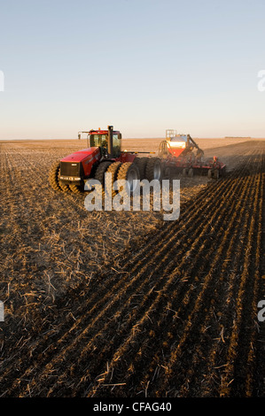 Déplacer le tracteur et l'air et jusqu'à la plantation semoir grain dans le chaume de canola, près de Dugald (Manitoba), Canada Banque D'Images