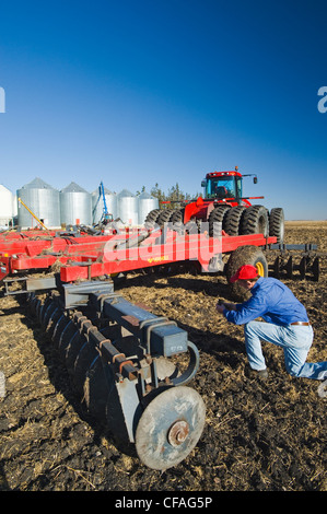 L'homme détient sols cultivés récemment les chaumes de blé Banque D'Images