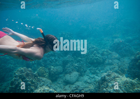 Femme plongée dans l'océan tropical Banque D'Images