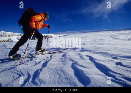 Un jeune homme de l'écorcher jusqu'Mt. Gordon sur son splitboard. De glace Wapta, Alberta, Canada Banque D'Images